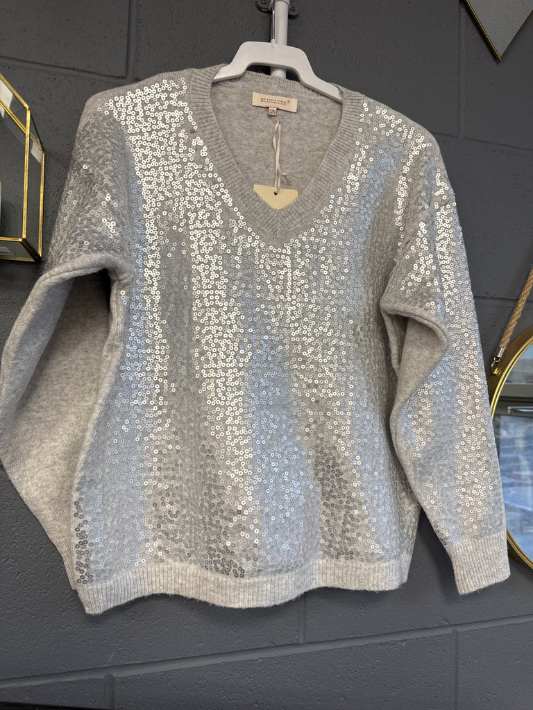 Sequin V Neck Sweater Various Colours