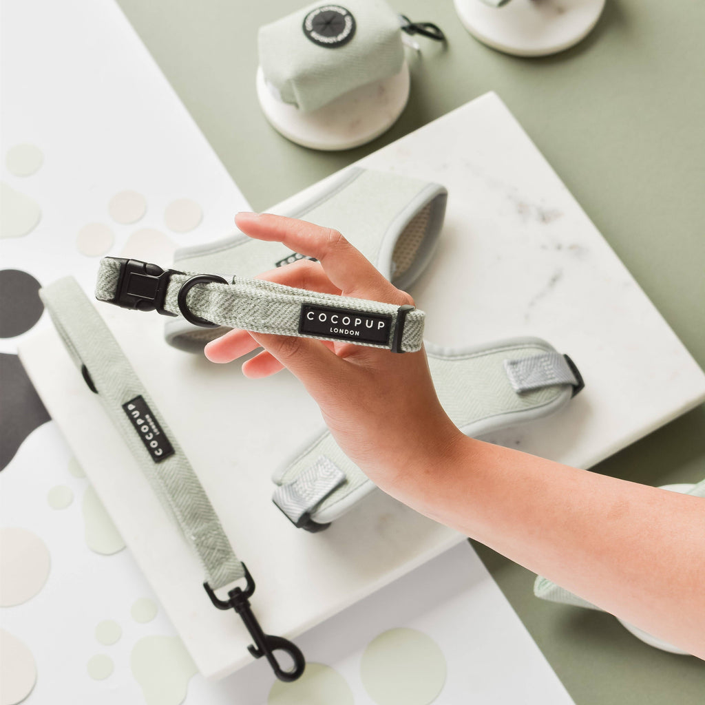 Sage Tweed Collar: Medium